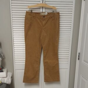 J. Crew Tan Bootcut Corduroy Trousers